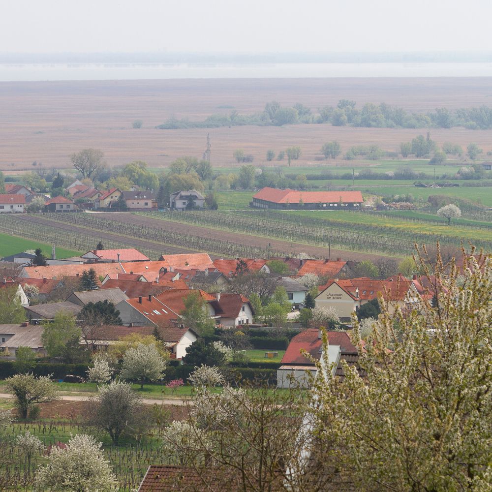 donnerskirchen ausblick neusiedlersee