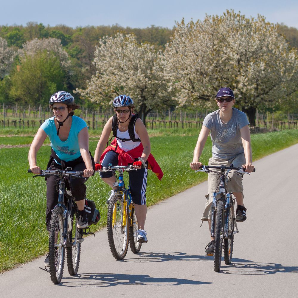 fahrradtour donnerskirchen radwege