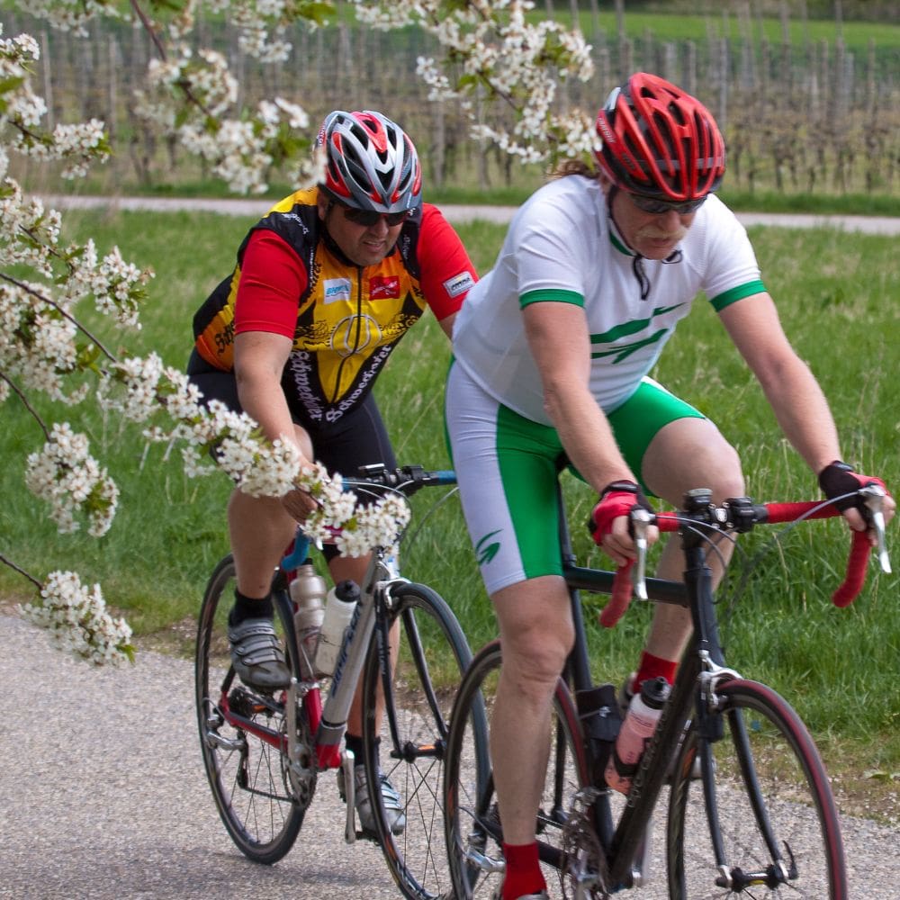 radfahren donnerskirchen burgenland