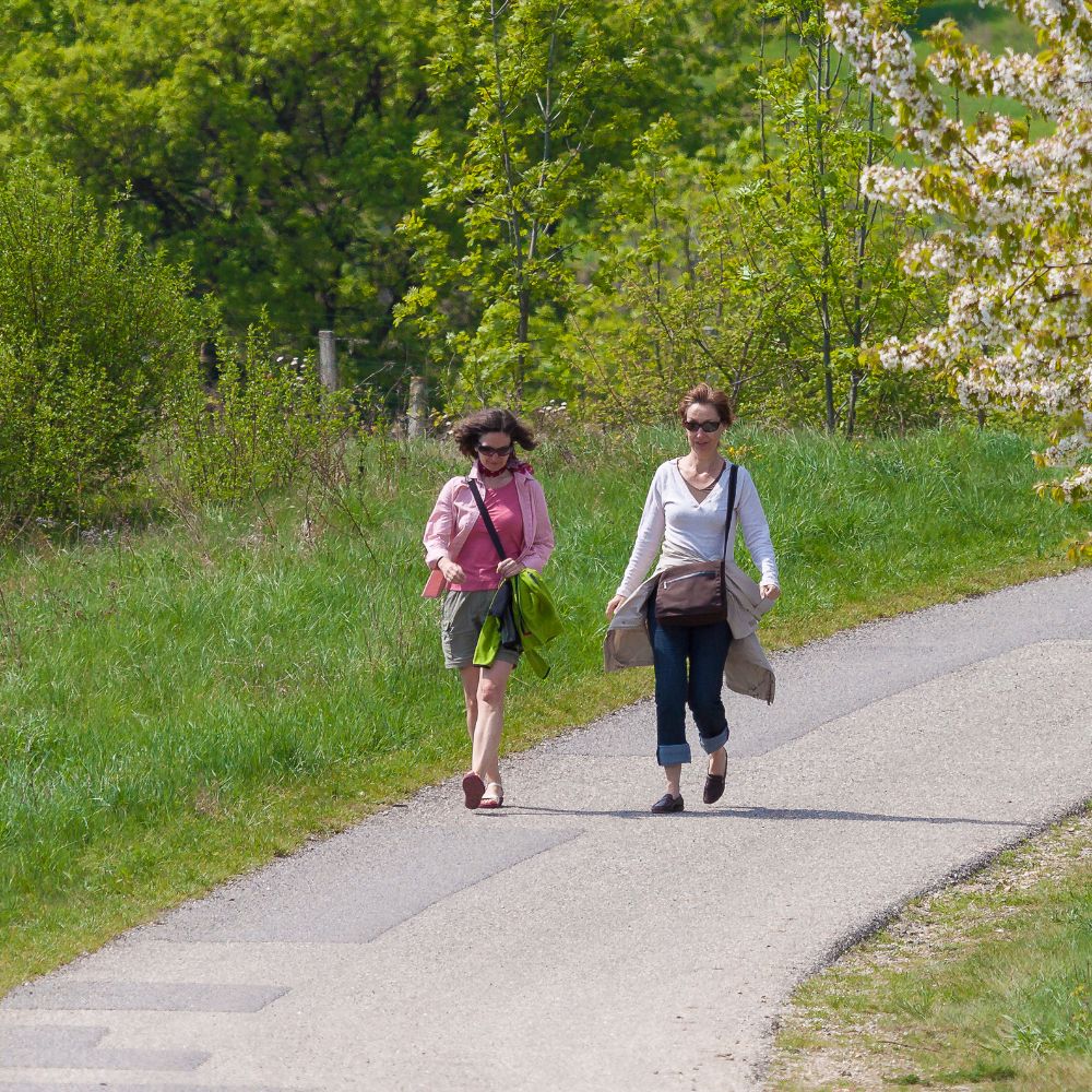 wandern donnerskirchen leithaberg