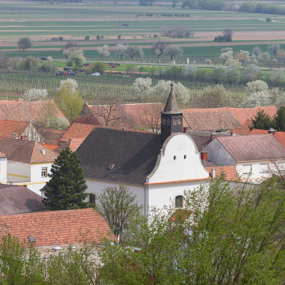 weingaerten donnerskirchen